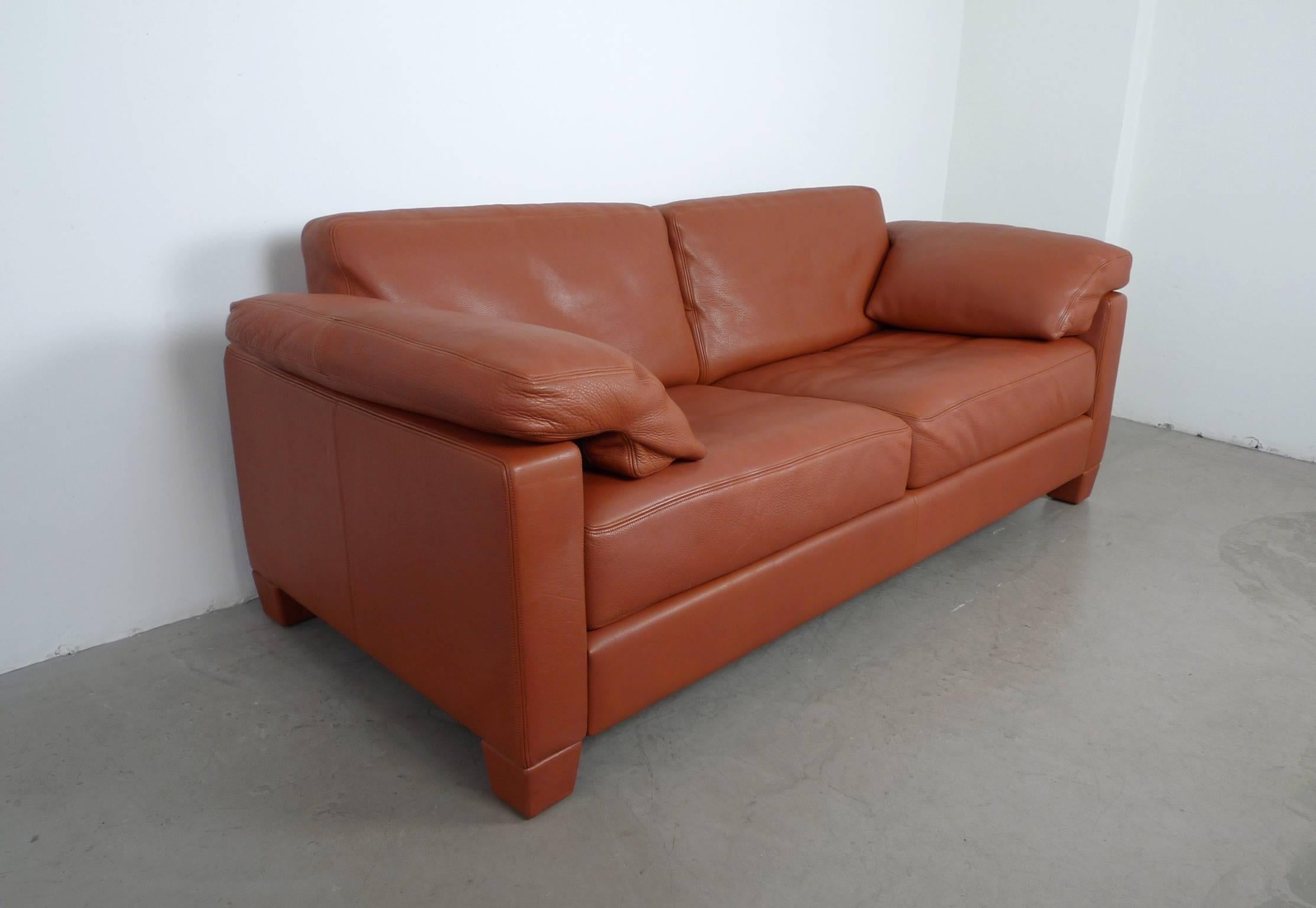 Swiss Cognac Leather DS-17 Sofa from De Sede, Switzerland, 1989