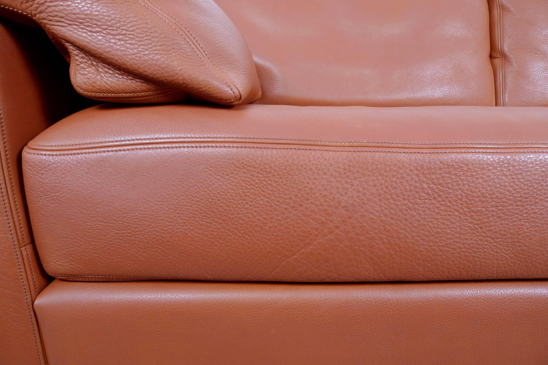 Cognac Leather DS-17 Sofa from De Sede, Switzerland, 1989 3