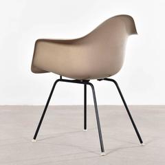 Eames Greige Dax Dining Chair for Herman Miller