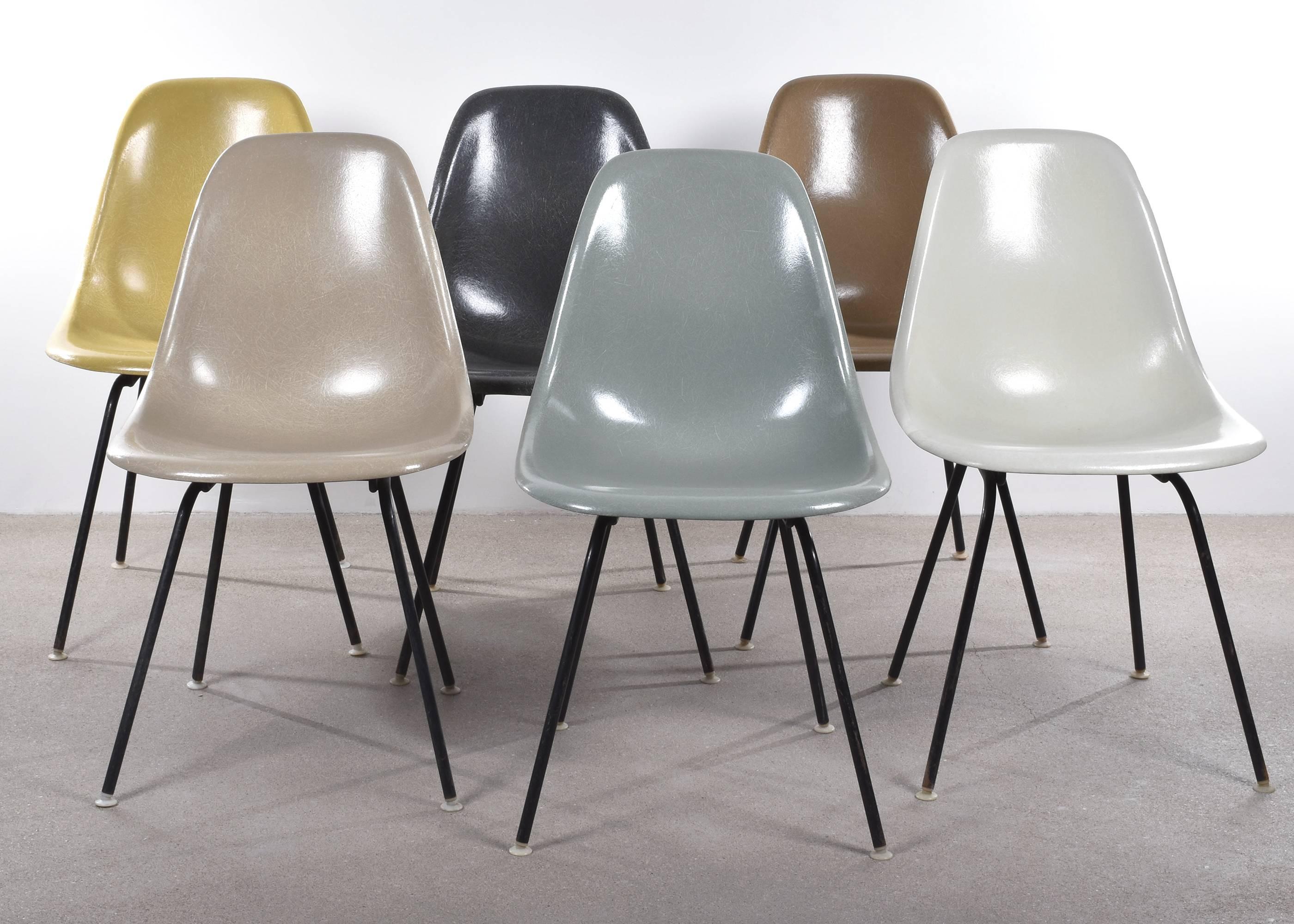 Beautiful iconic DSX chairs in natural colors: Parchment, Greige, Ochre Light, Elephant Hide Grey, Sea Foam Green, Tan Light (Raw Umber).
Shells are in very good or excellent condition with only slight traces of use. Replaced shock mounts which