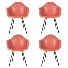 Vintage Eames Salmon Dax Dining Chair for Herman Miller, 1958