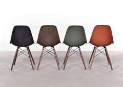 Set of Four Eames DSW Herman Miller, USA Dining Chairs Black, Brow, Green & Red