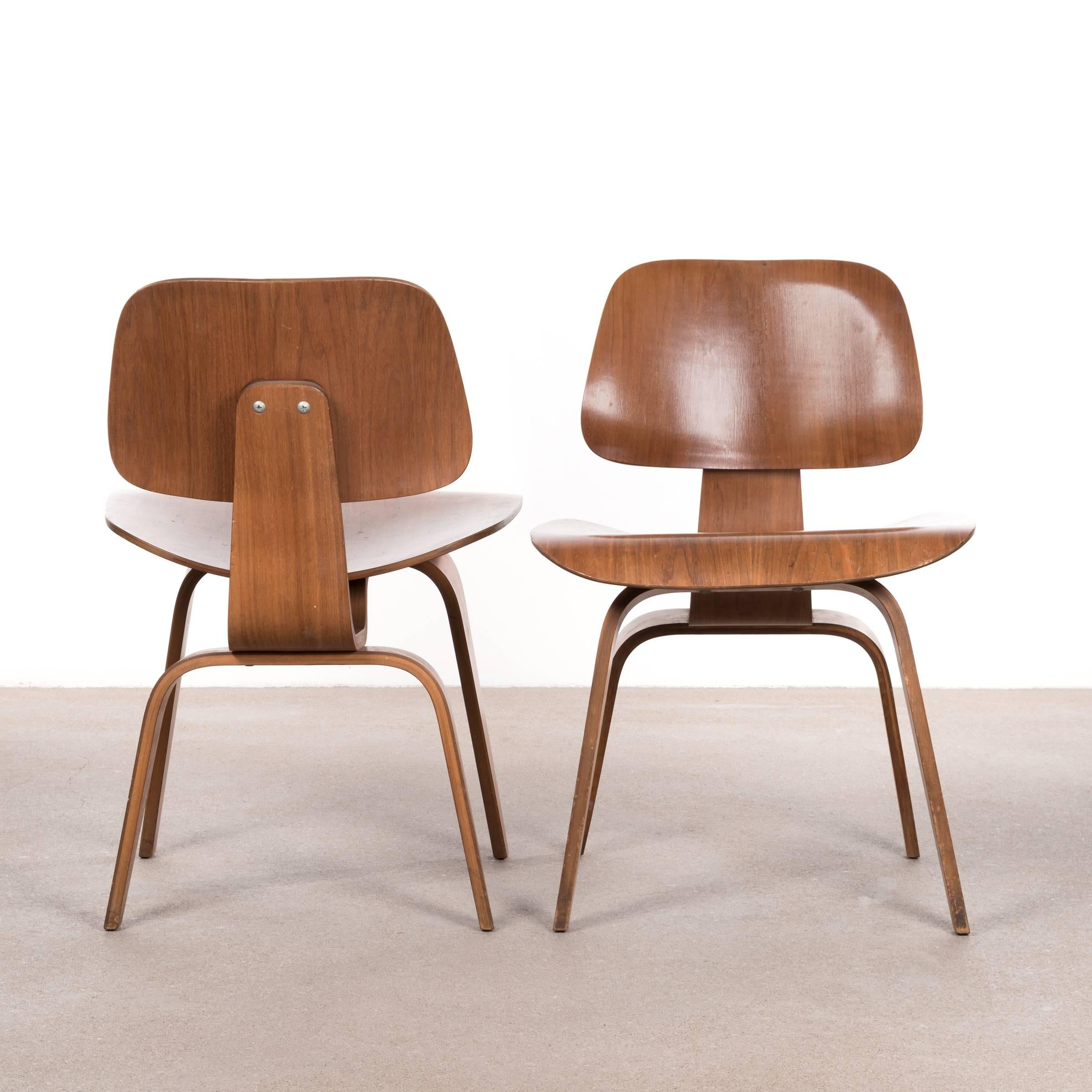 eames dcw dining chair