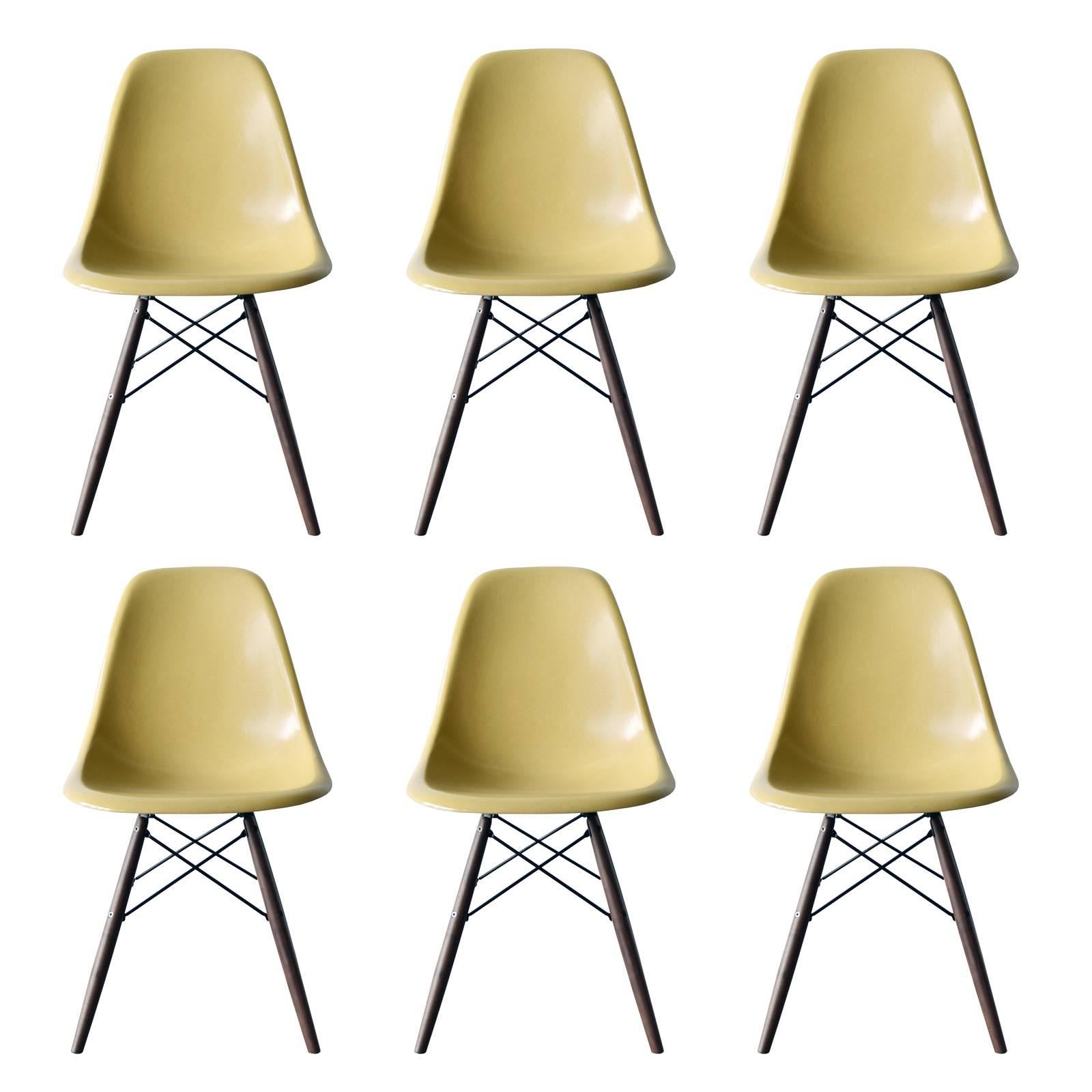 Set of Six Eames Ochre Light DSW Herman Miller, USA Dining Chairs