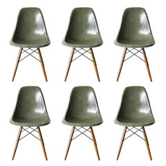 Satz von sechs Eames Olive Green Dark Dsw Herman Miller:: Usa Esszimmerstühle