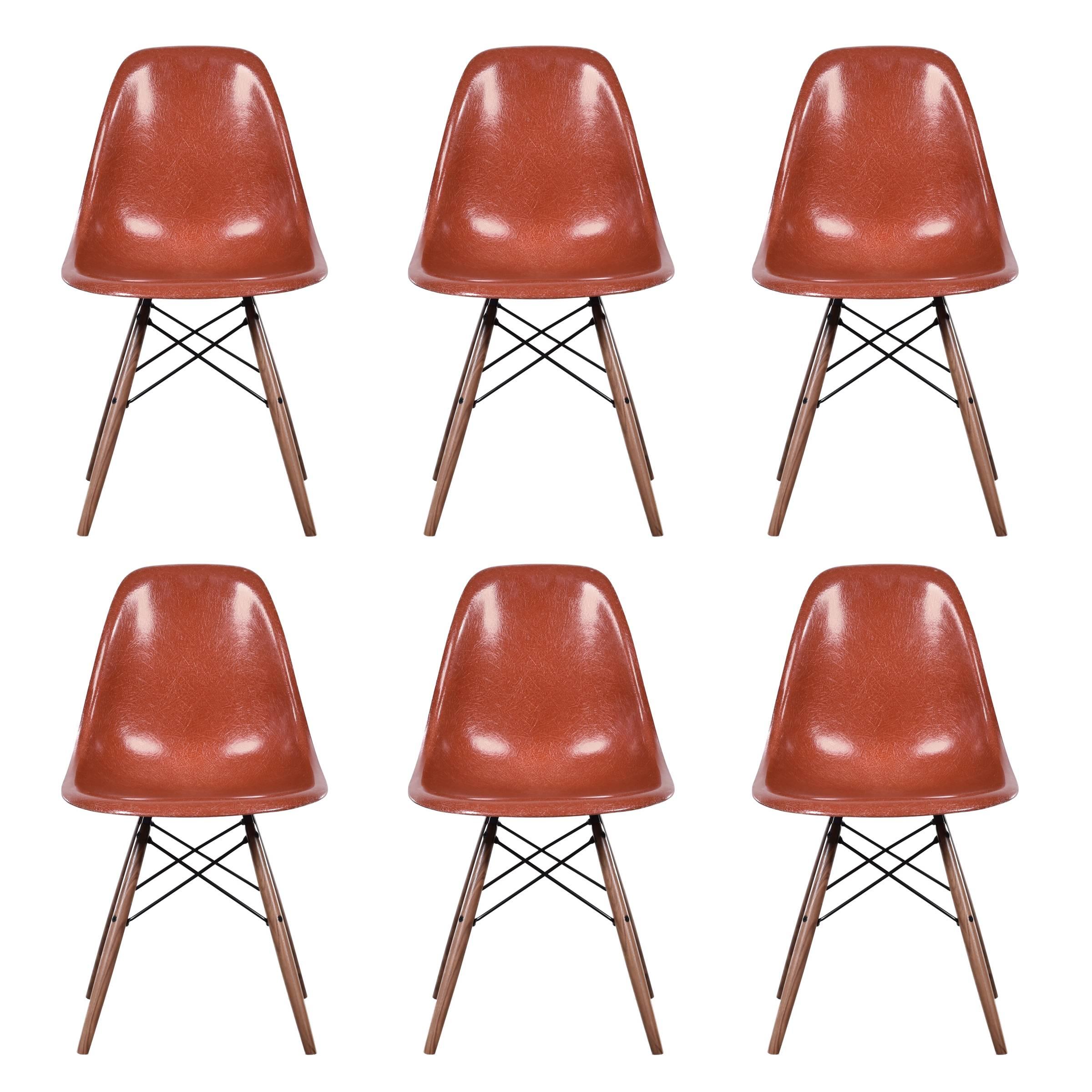 Set of Six Eames Terra Cotta DSW Herman Miller, USA Dining Chairs