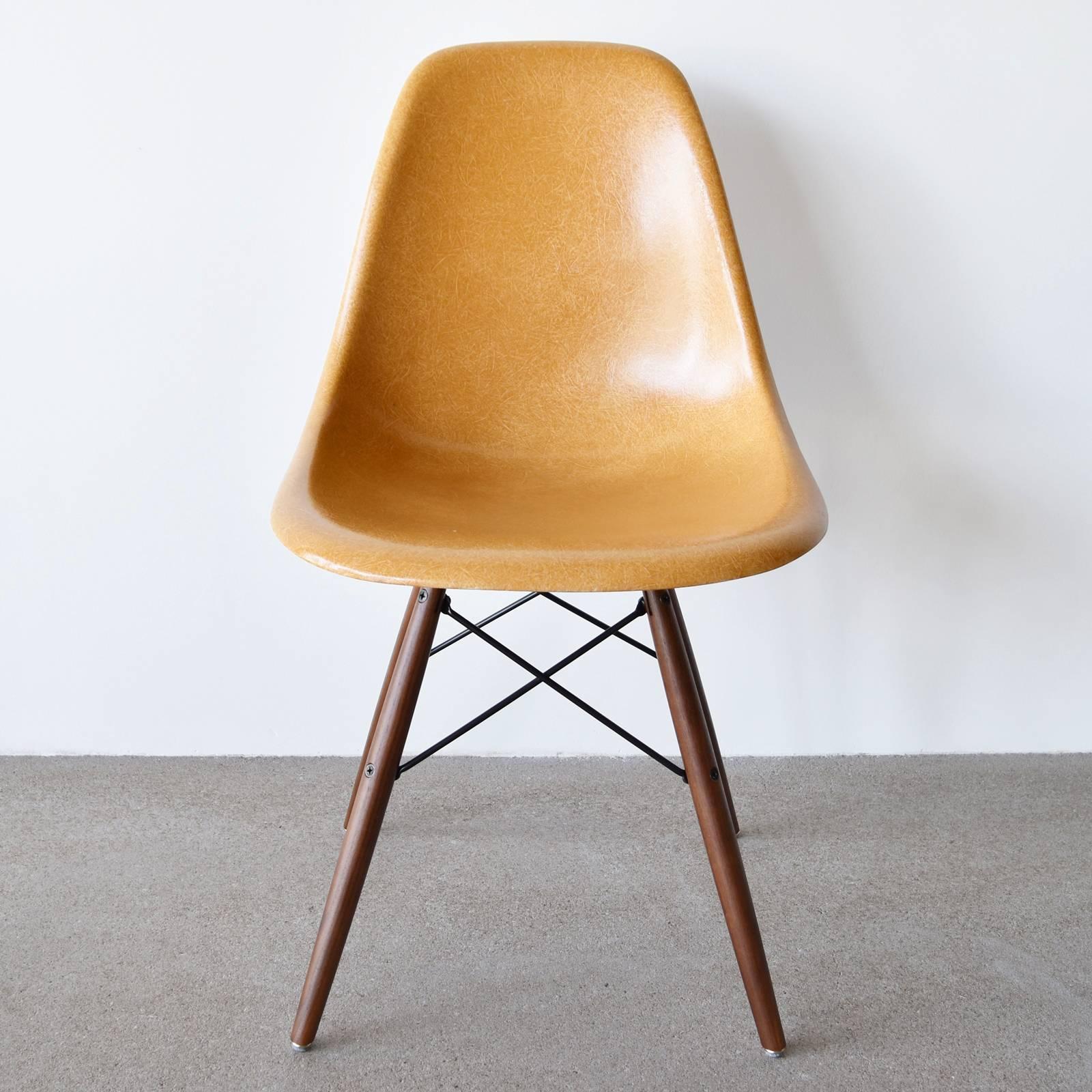 Beautiful iconic Ochre Dark DSW chairs. The shells are in very good / excellent condition with only slight traces of use. Replaced shock mounts which guarantee save usability for the next decades. Each chair is signed with embossed Herman Miller