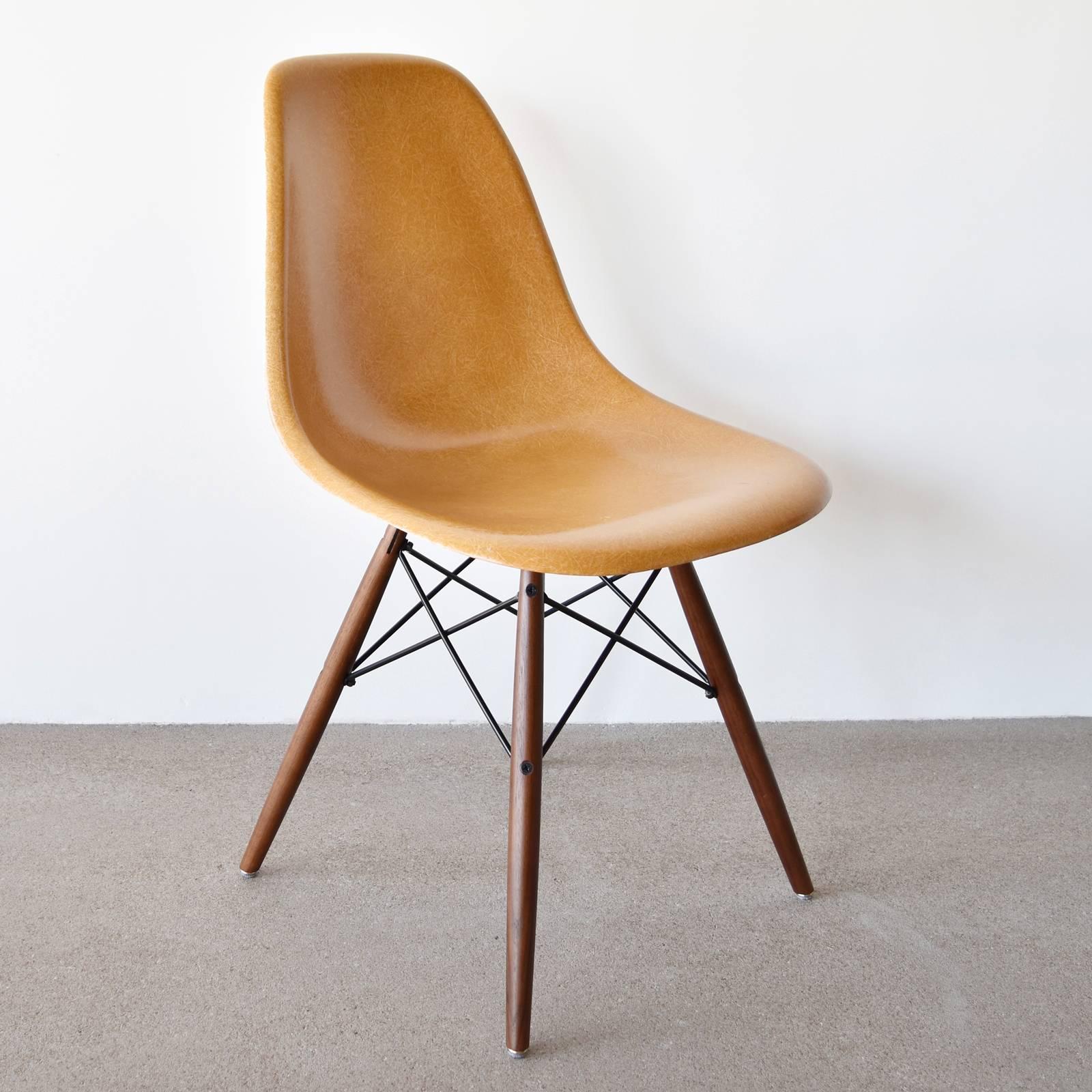 Mid-Century Modern Set of Six Eames Ochre Dark Dsw Herman Miller, Usa Dining Chairs