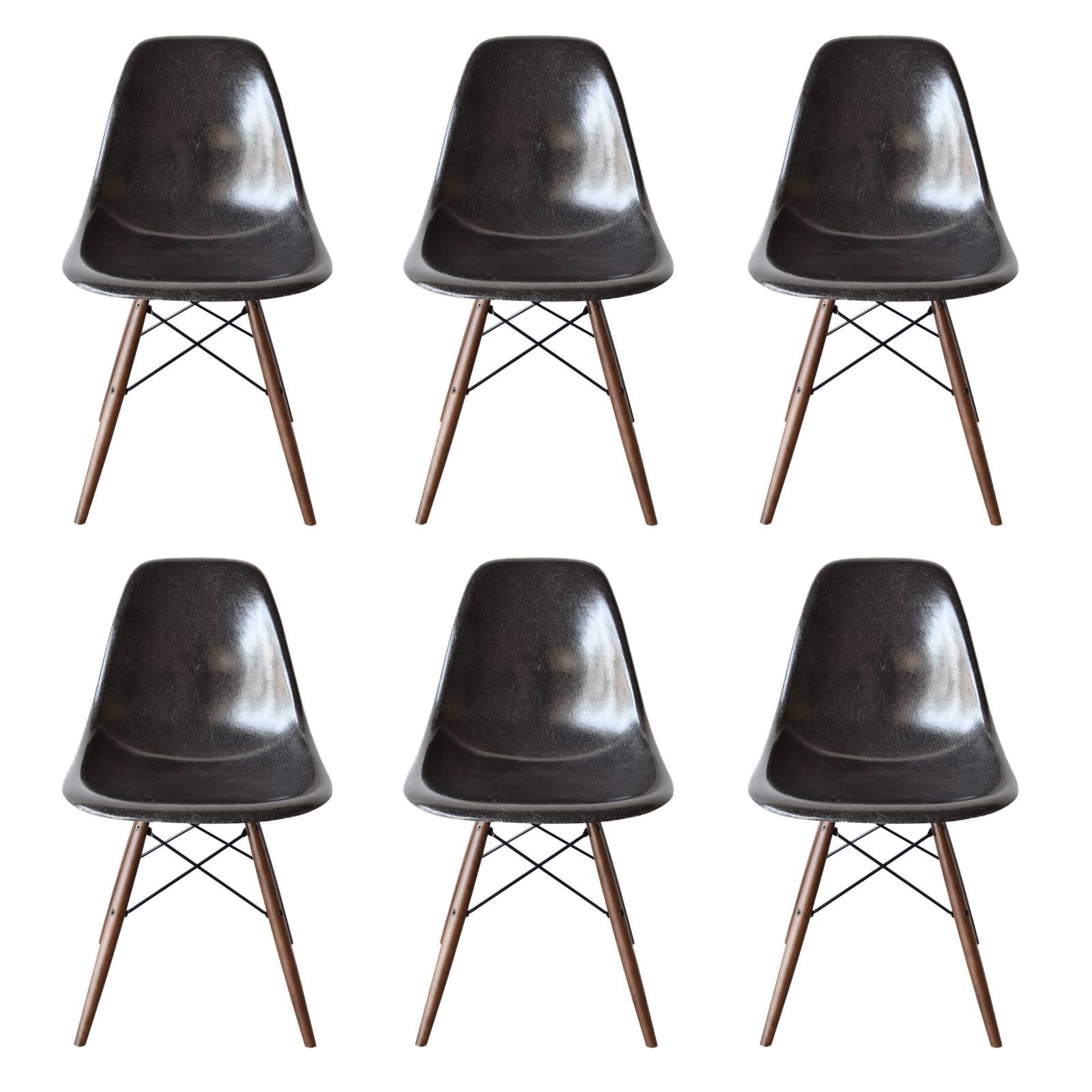 Set of Six Eames Black Dsw Herman Miller, USA Dining Chairs