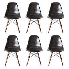 Set of Six Eames Black Dsw Herman Miller, USA Dining Chairs