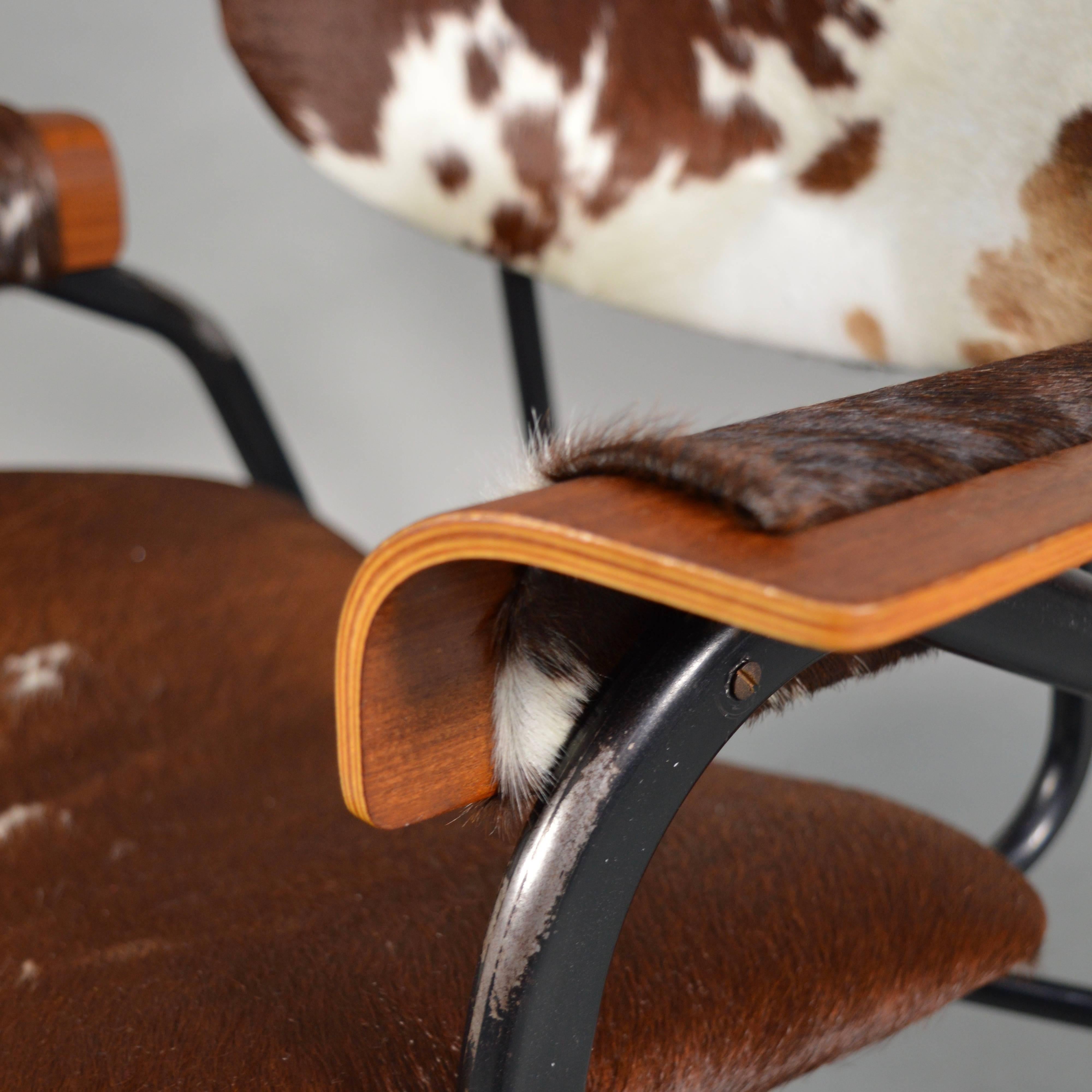 Gastone Rinaldi for RIMA Lounge Chair with new cowhide, Italy, 1950s 1