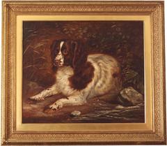 Oil on Canvas of a Springer Spaniel by Benjamin Cam Norton