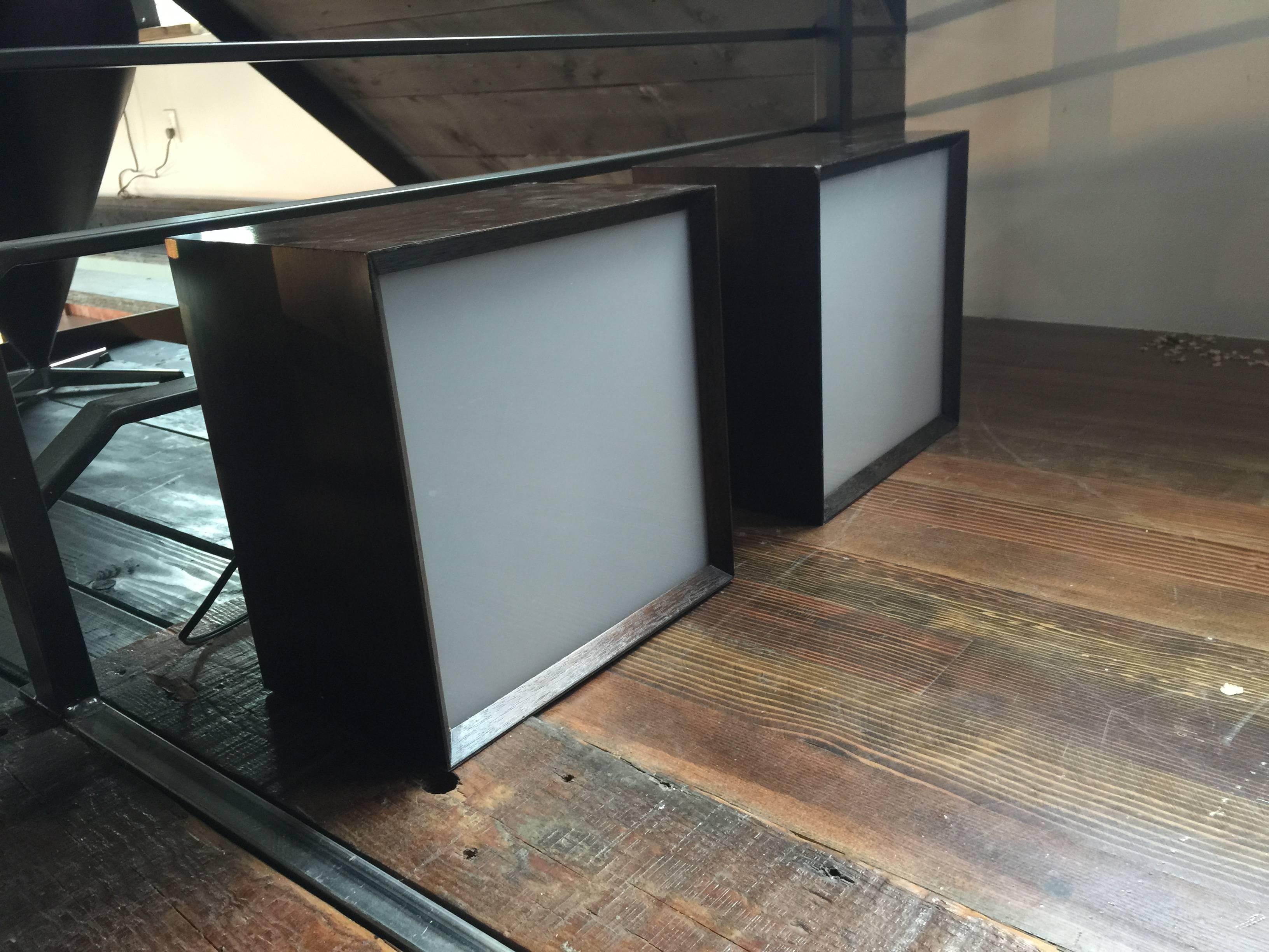Pair of Rare Earl Reiback 1960s Lumia Lightolier Kinetic Art Lamps 1