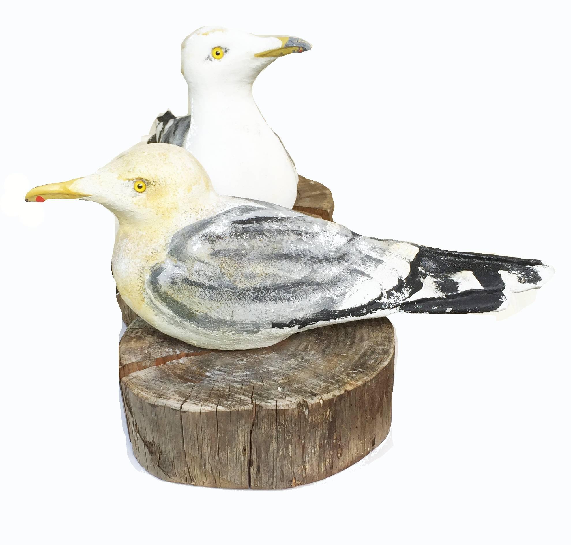 Pair of artist signed painted cement Seagull form doorstops on wood slab stands, the seagulls painted realistically, each with glass-inset yellow eyes, one with raised head and the other with head lowered into body, the wood slabs made of cross-cut