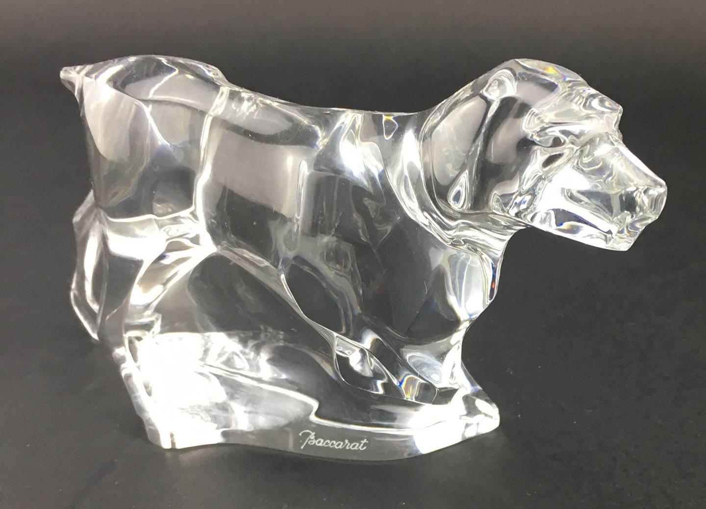 Baccarat crystal figure of a pointer dog standing on three paws, the fourth up, his nose pointing forward, his cropped tail at attention on a mounded base.

Signed Baccarat, toward the center of the base, and with stamp to underside.

Measures:
