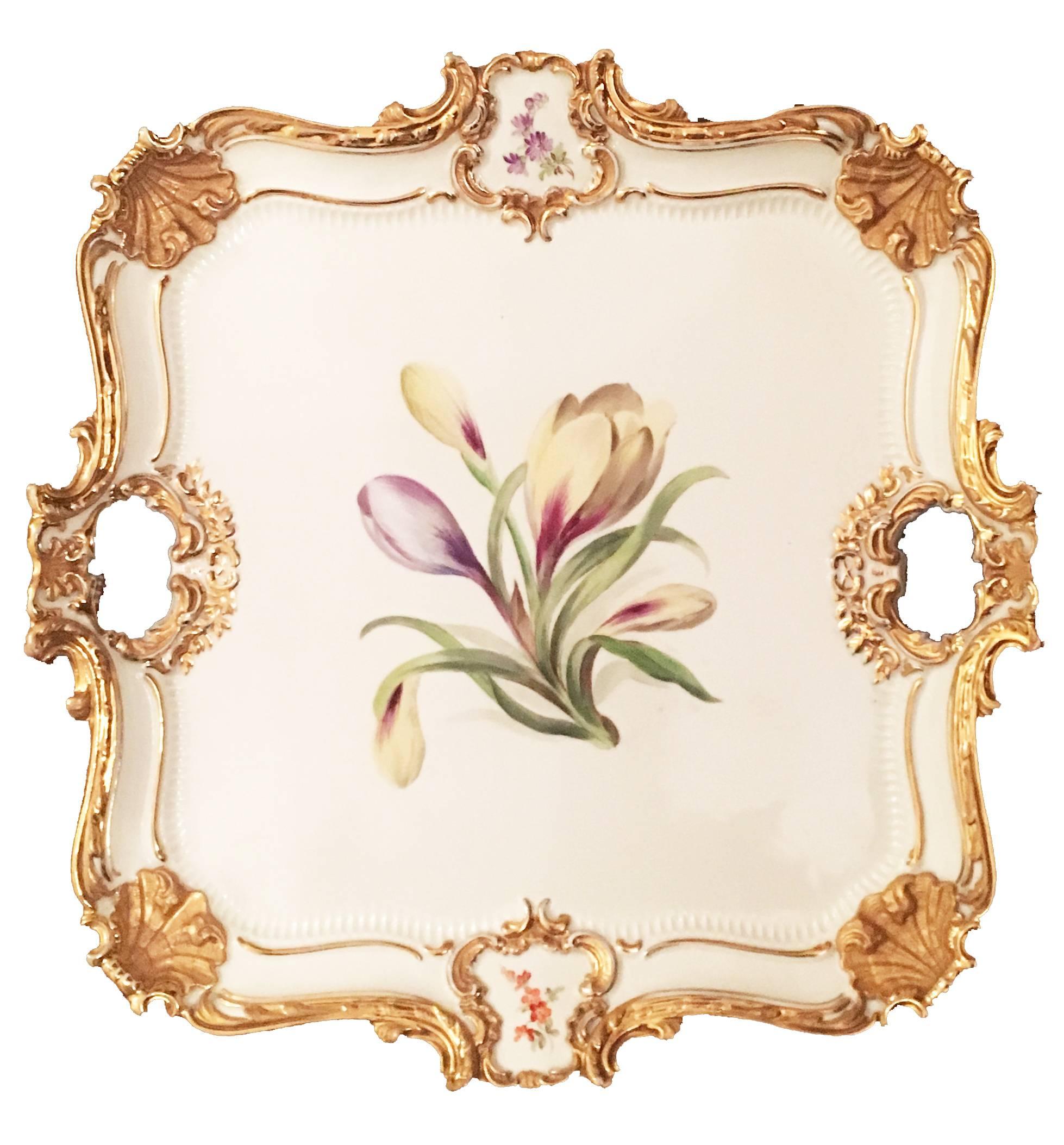 German Meissen Porcelain Rococo-style square tray the scrolling and shell-molded edge with two handles cut-out to the sides, painted with heavy gilt details, centring a life-sized specimen of a blooming crocus flower with extensive leafing