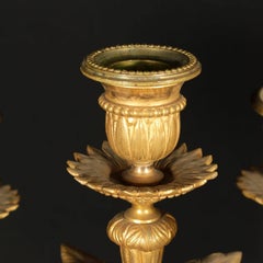 Pair of Candlesticks Five-Light Points Gilded Bronze, Europe, 19th Century