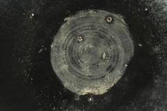 Porcelein Centerpiece by Nanni Valentini Green Decorations 'Arcore Ceramica'