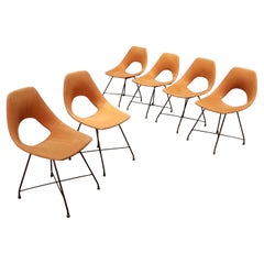 Six chaises des années 50-60, créées par Augusto Bozzi pour Saporiti, en métal et tissu.