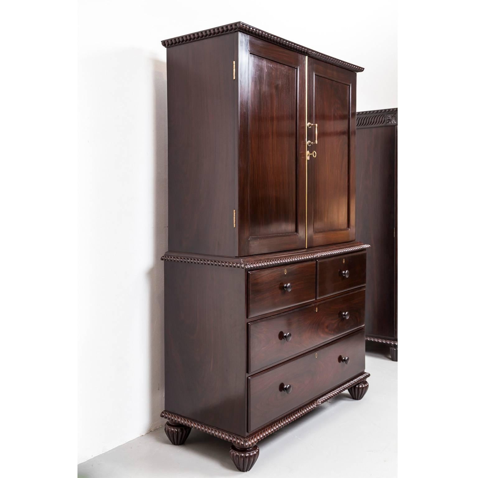 Anglo-Indian or British Colonial Rosewood Cupboard 2