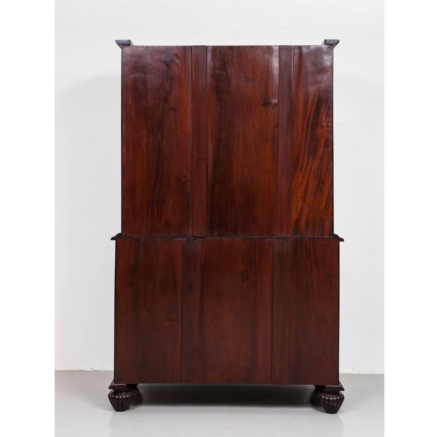 Anglo-Indian or British Colonial Rosewood Cupboard 6