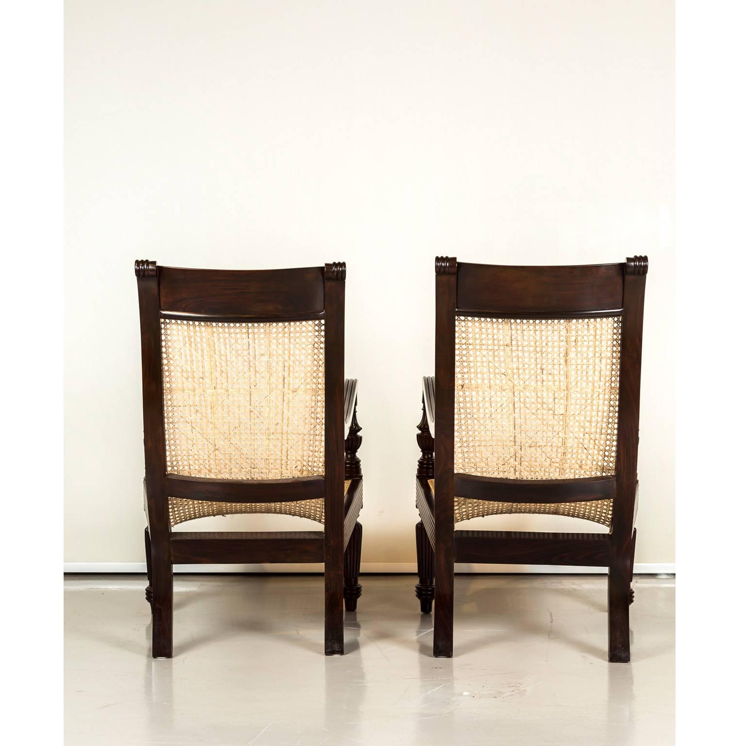 Pair of Anglo-Indian or British Colonial Rosewood and Cane Library Chairs 2