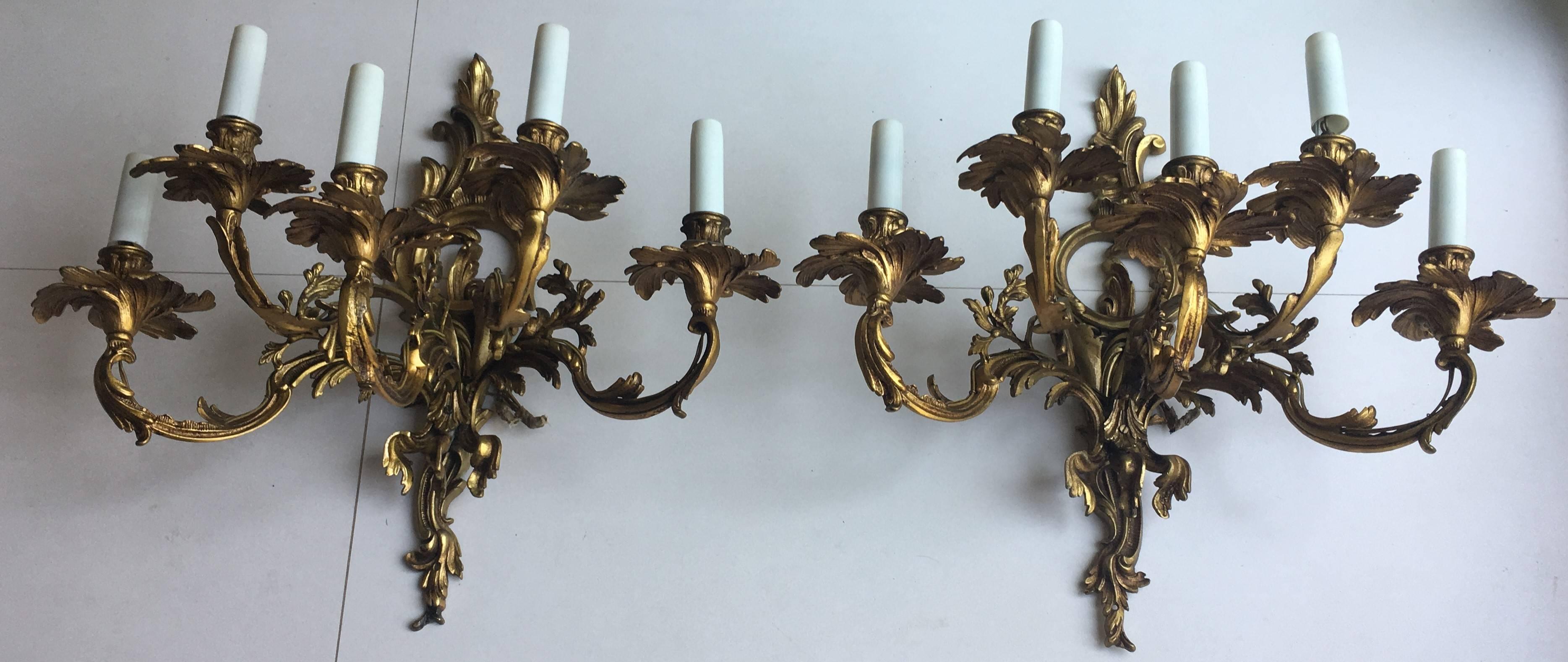 A large French pair of gilded bronze quintuple arm antique wall sconces, the ornate leaf scrolling arms with leaf bobeches drip pans, issuing from a decoratively cast elongated tapering leaf backplate with central cartouche, excellent original