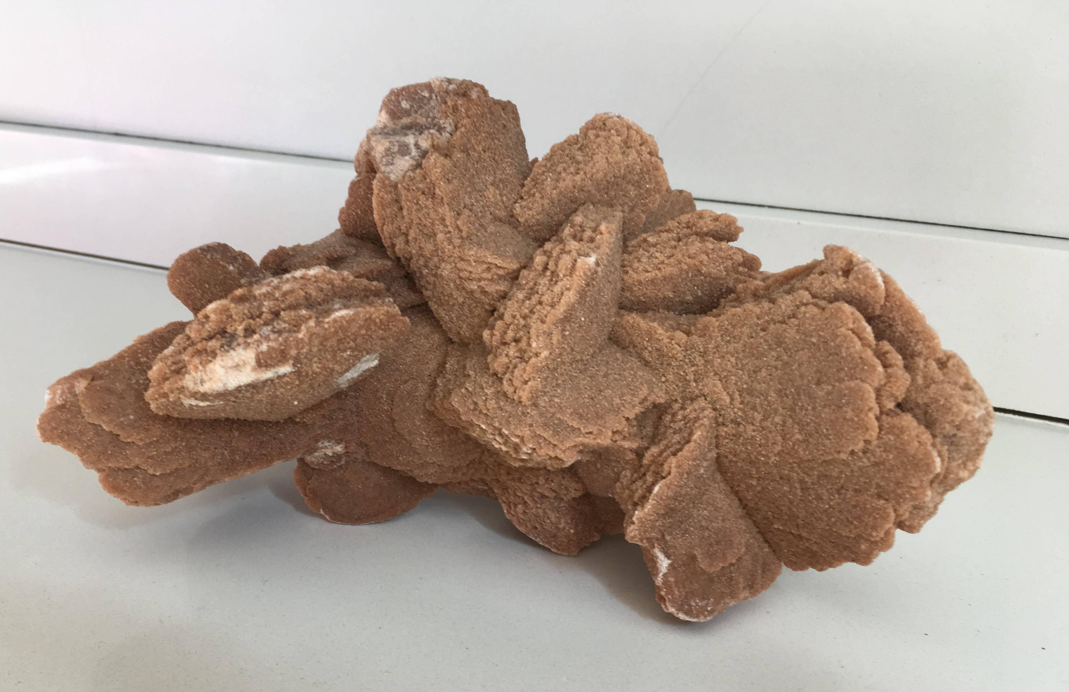 ‘Desert Rose’ selenite crystal 
Formation desert roses are crystal clusters formed of gypsum barite and sand. It can take nature up to hundreds of thousands of years to form these flower-like sculptures. This desert rose is the orange, like