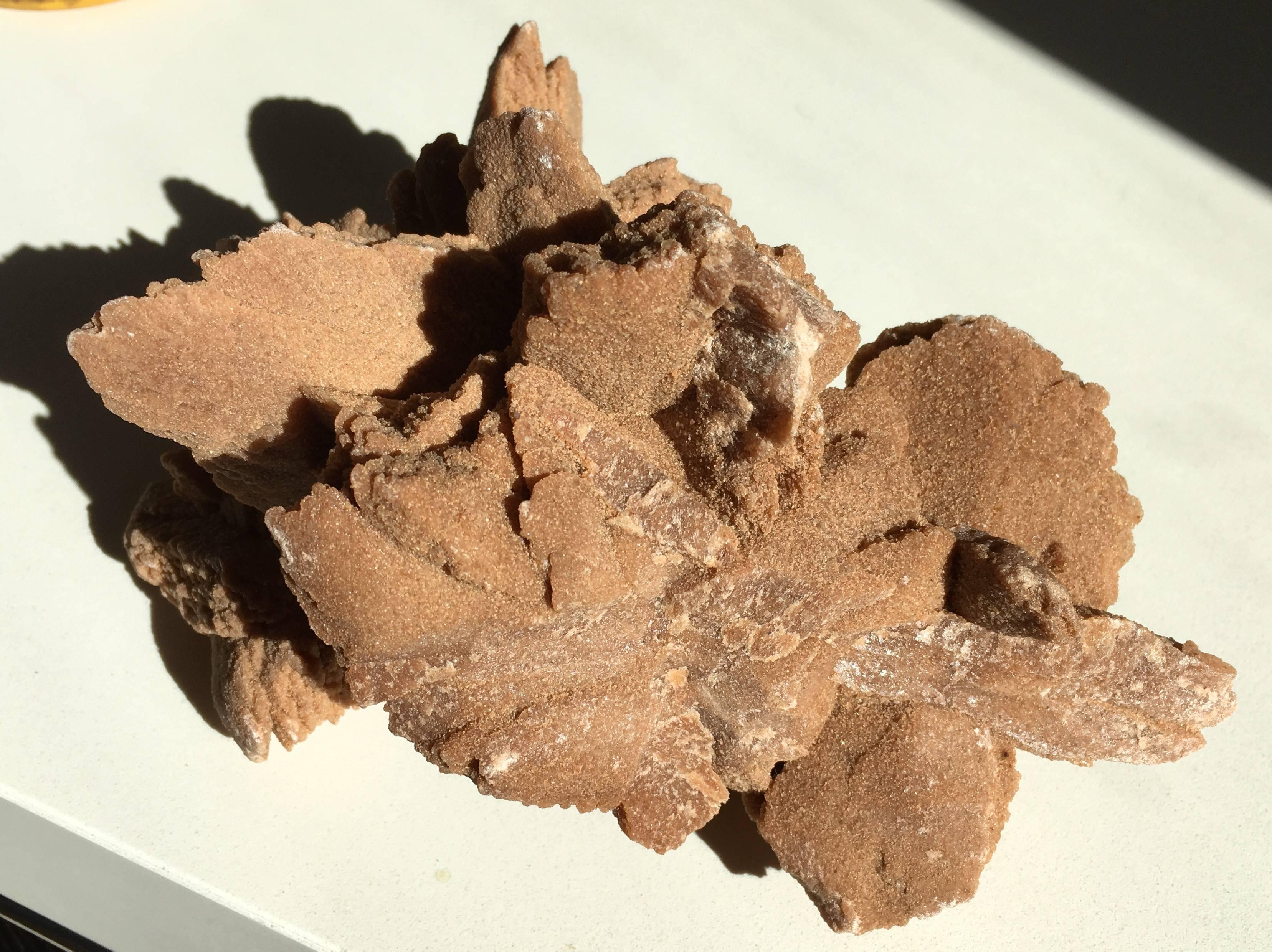 Prehistoric Desert Rose Selenite Crystal Formation For Sale