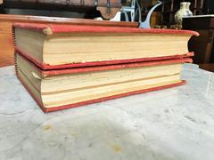 19th Century Masterpiece BIG Book "The Superstitions of Humanity"