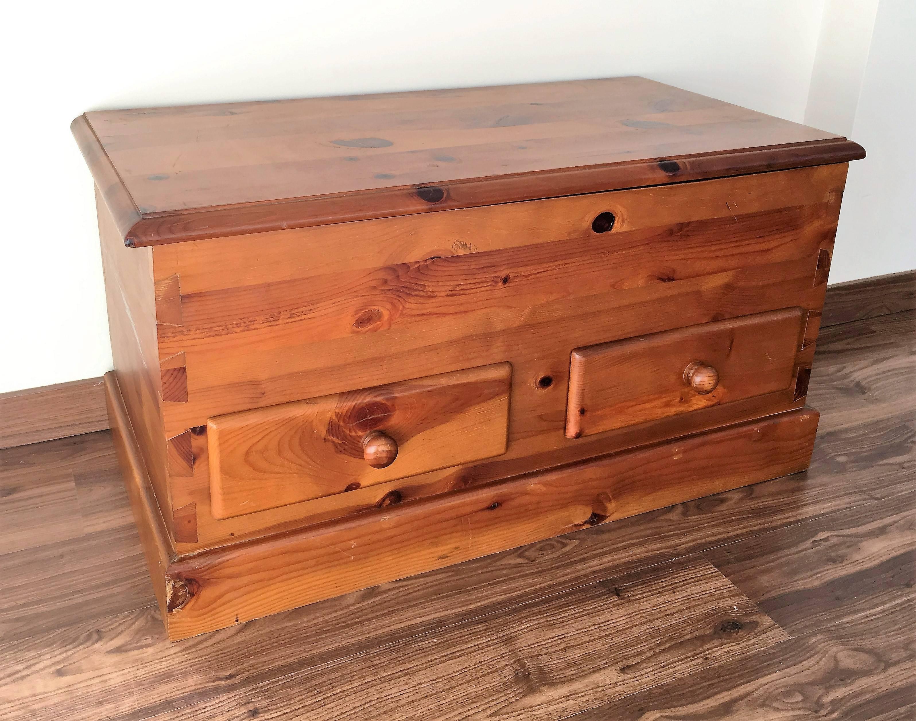 Modern 20th Century Trunk for Storage For Sale