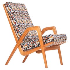 Midcentury Armchair by Jan Vanek for Krasna Jizba, 1950s
