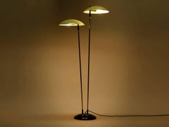 Mid-Century Floor Lamp from Drukov, 1960s