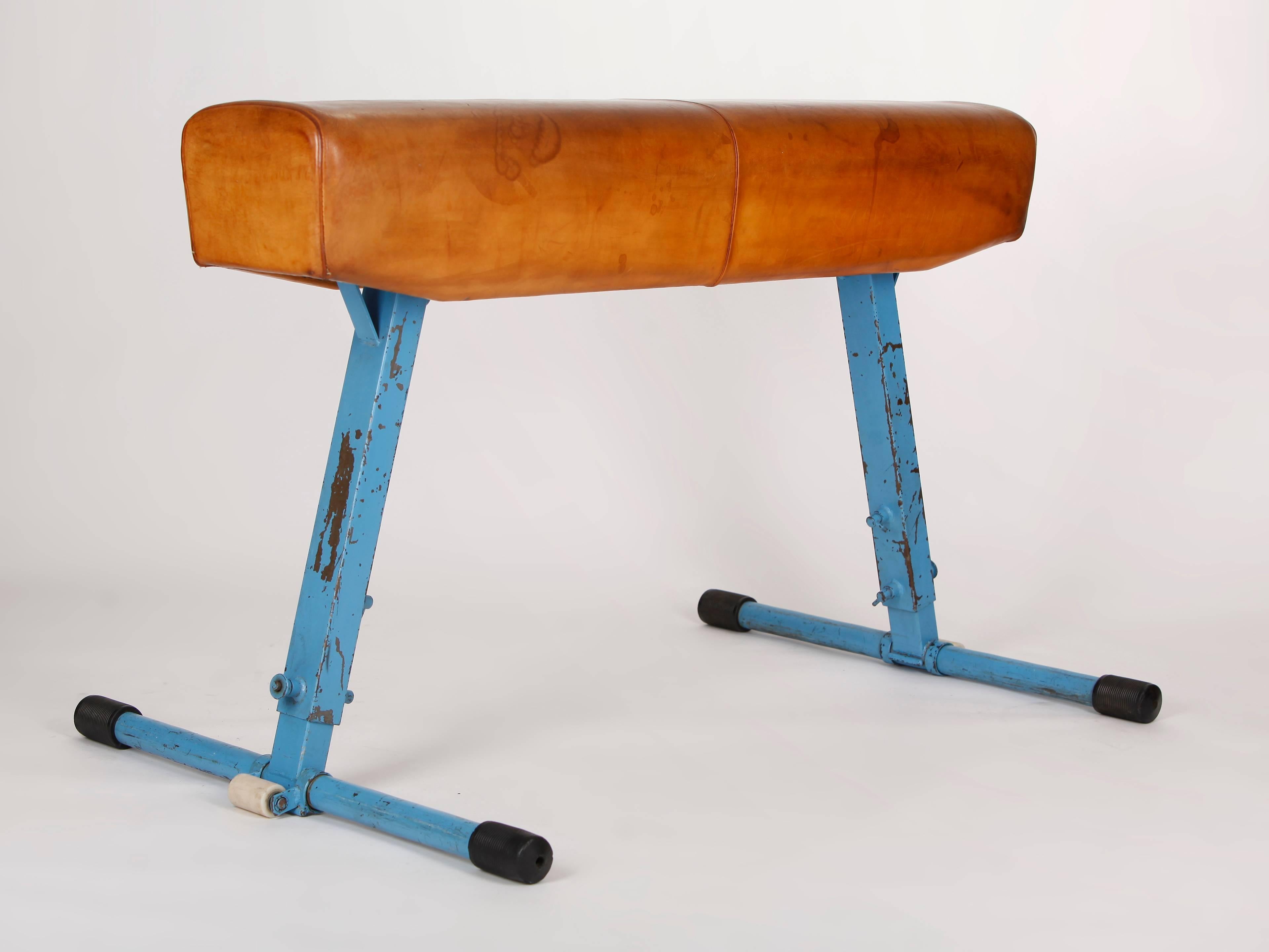 Manufactured by Artis in the 1960s in former Czechoslovakia. Height adjustable construction made of original blue painted steel tubing. The cleaned and preserved thick cowhide has a patina.
 
