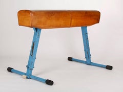 Gym Leather Horse from Artis, 1960s