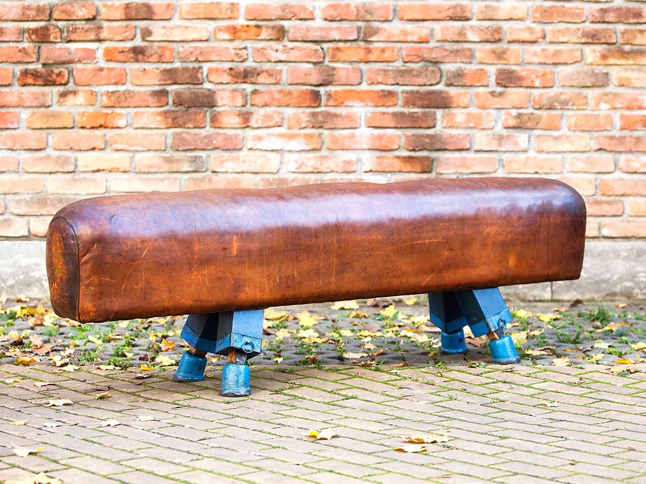 Industrial Vintage Gymnastic Leather Pommel Horse Bench, 1930s, Restored