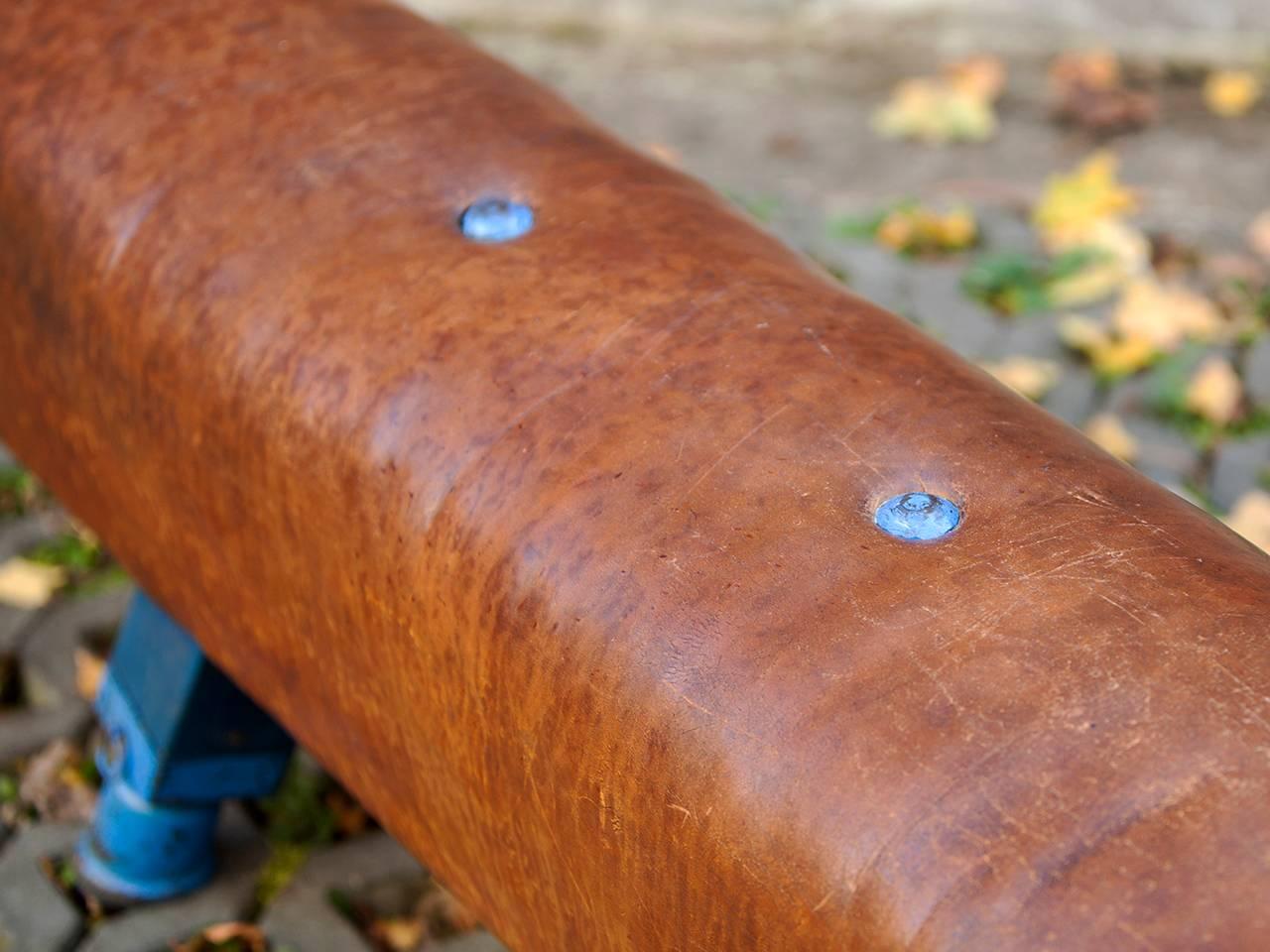 Czech Vintage Gymnastic Leather Pommel Horse Bench, 1930s, Restored