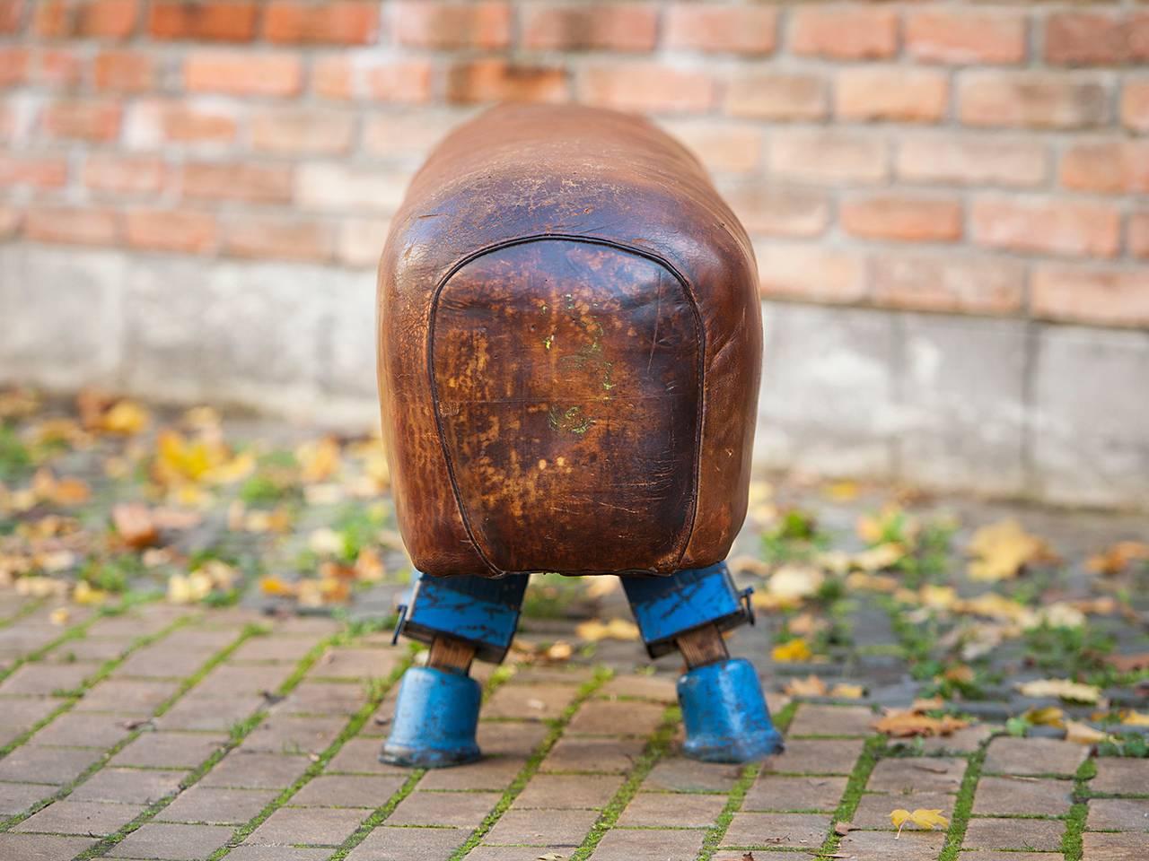 Vintage Gymnastic Leather Pommel Horse Bench, 1930s, Restored In Good Condition In Wien, AT