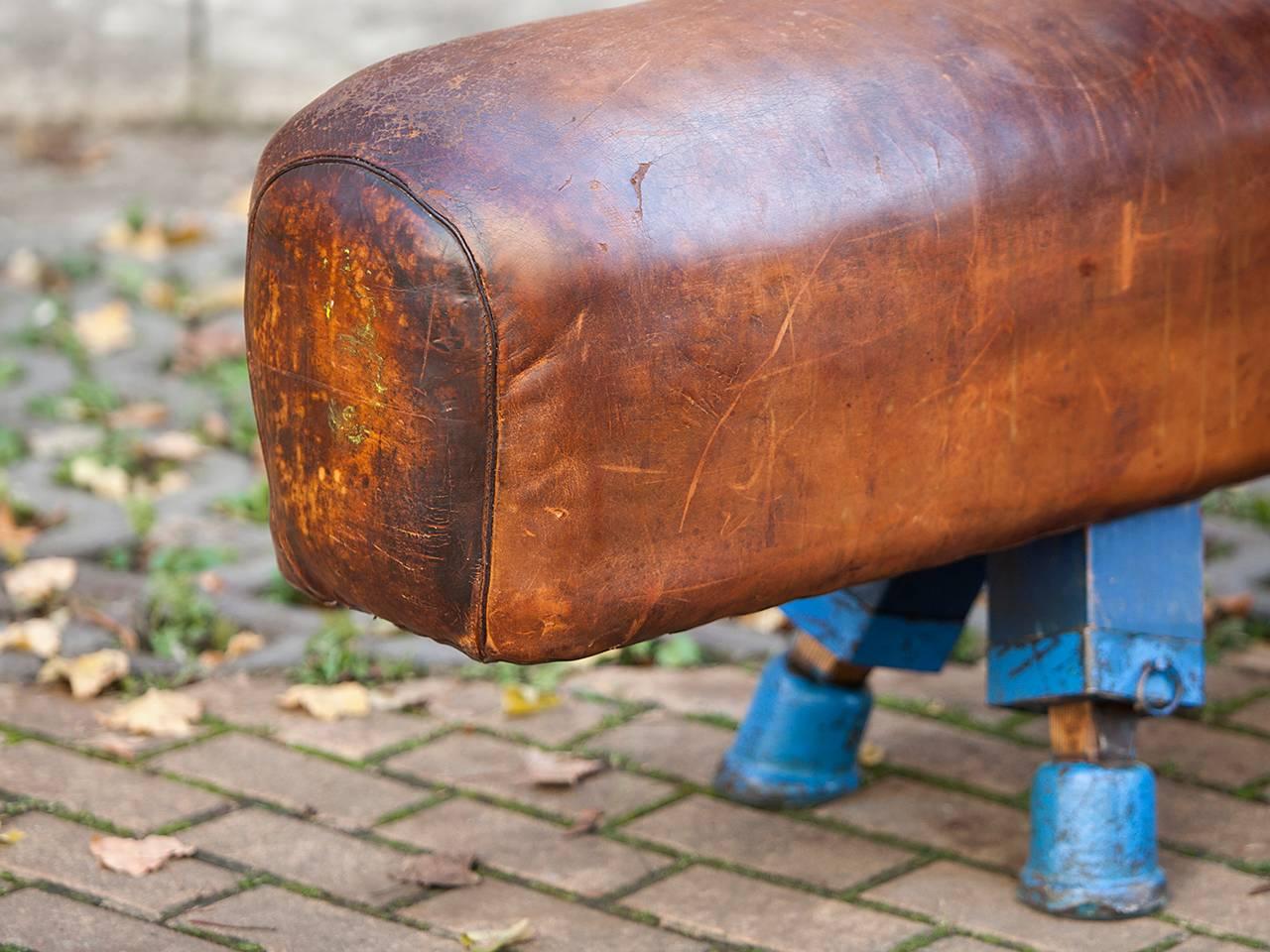 20th Century Vintage Gymnastic Leather Pommel Horse Bench, 1930s, Restored