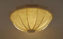 Burst Birdseye Maple Veneer Light Fixture