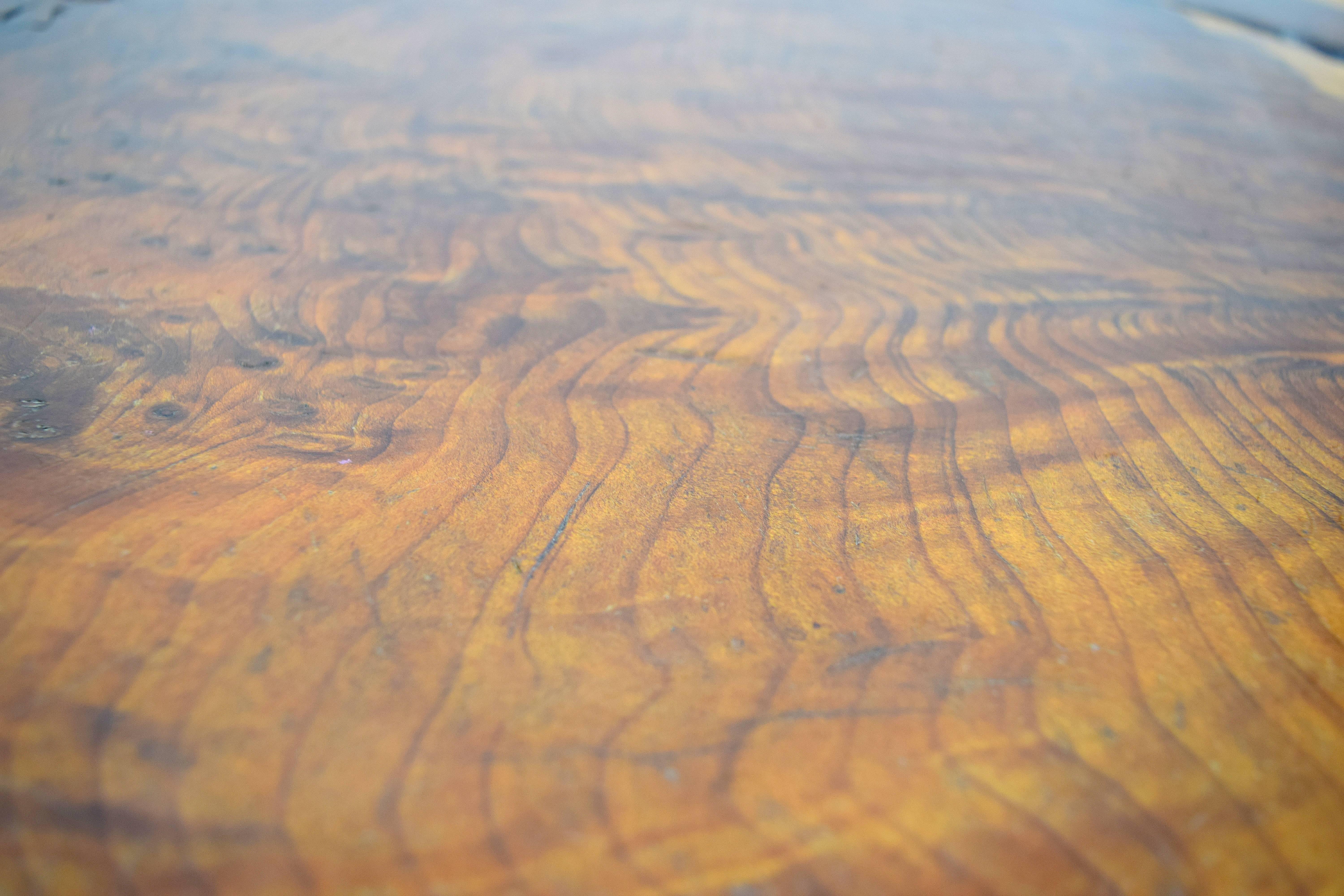 Organic Walnut Slab Free-Form Coffee Table 3