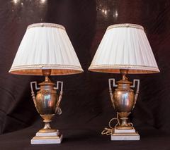 French Rare Pair of Louis XVI Period Ormolu Medicis Vases, circa 1780