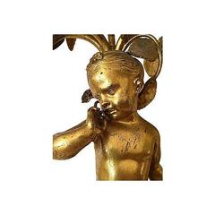 19th Century Pair of French Gilt Bronze Five-Light Candelabra