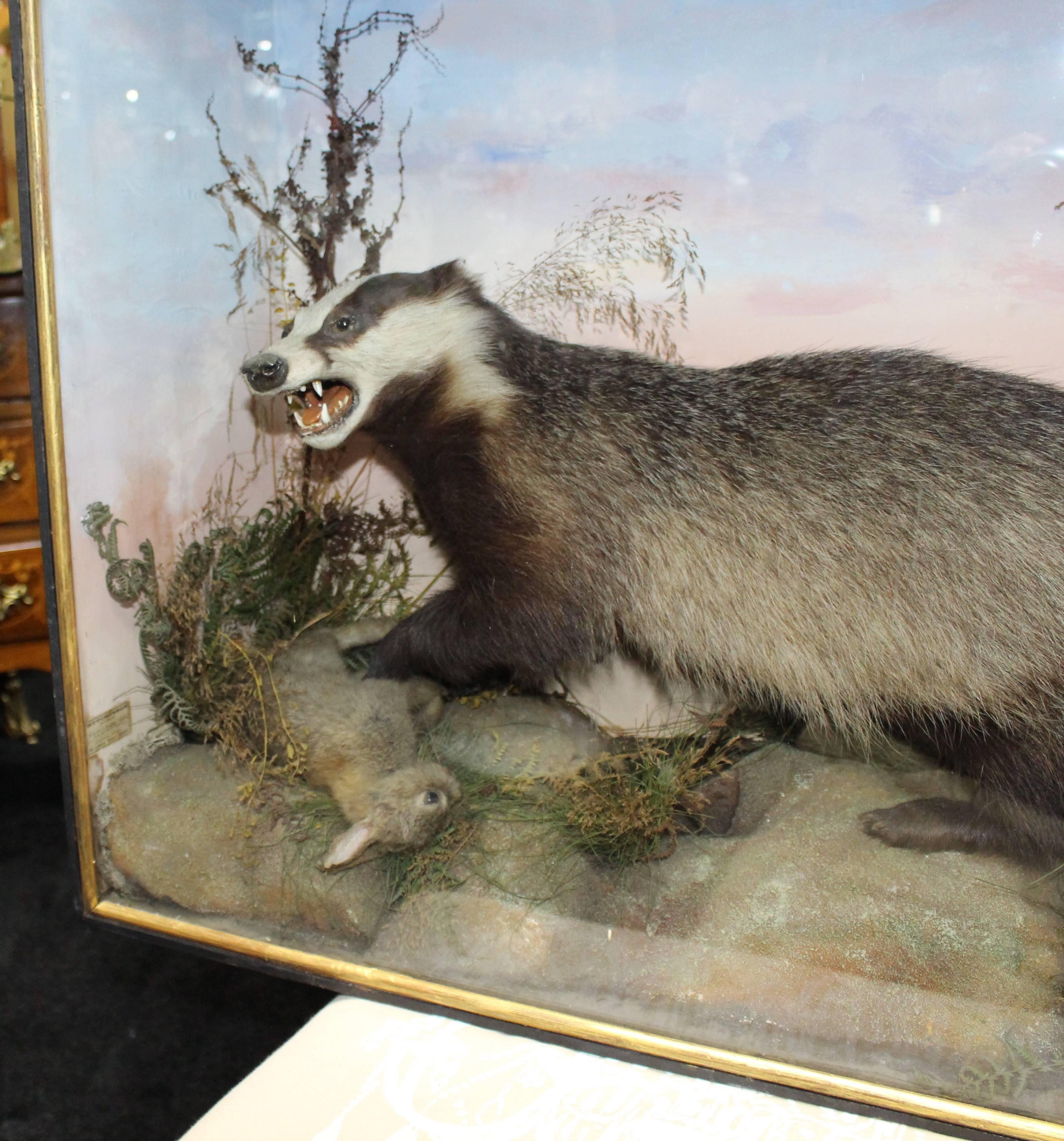 19th Century Cased Antique Hutchinson Taxidermy Badger and Rabbit