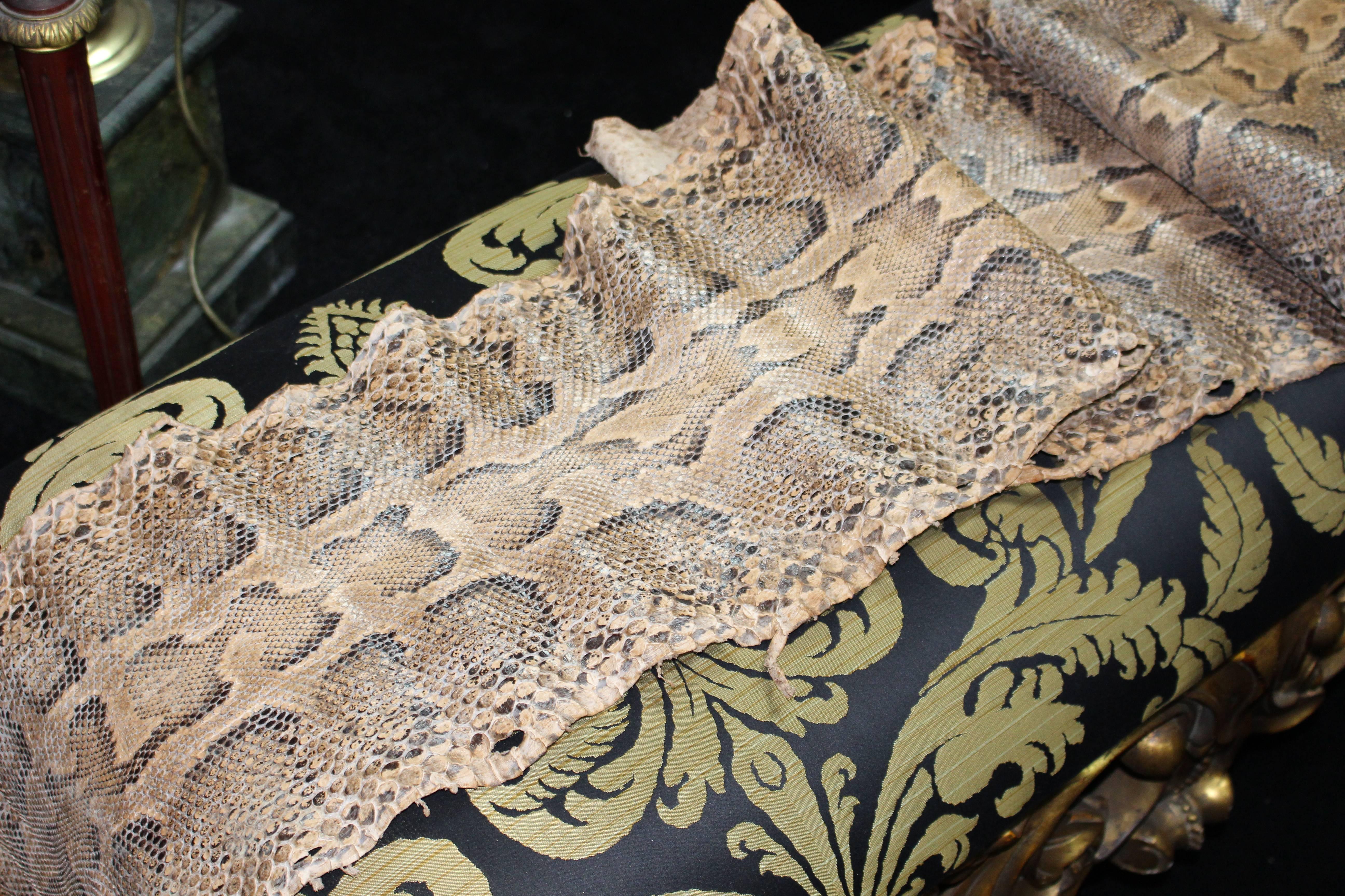 Antique Python Snake Skin 2