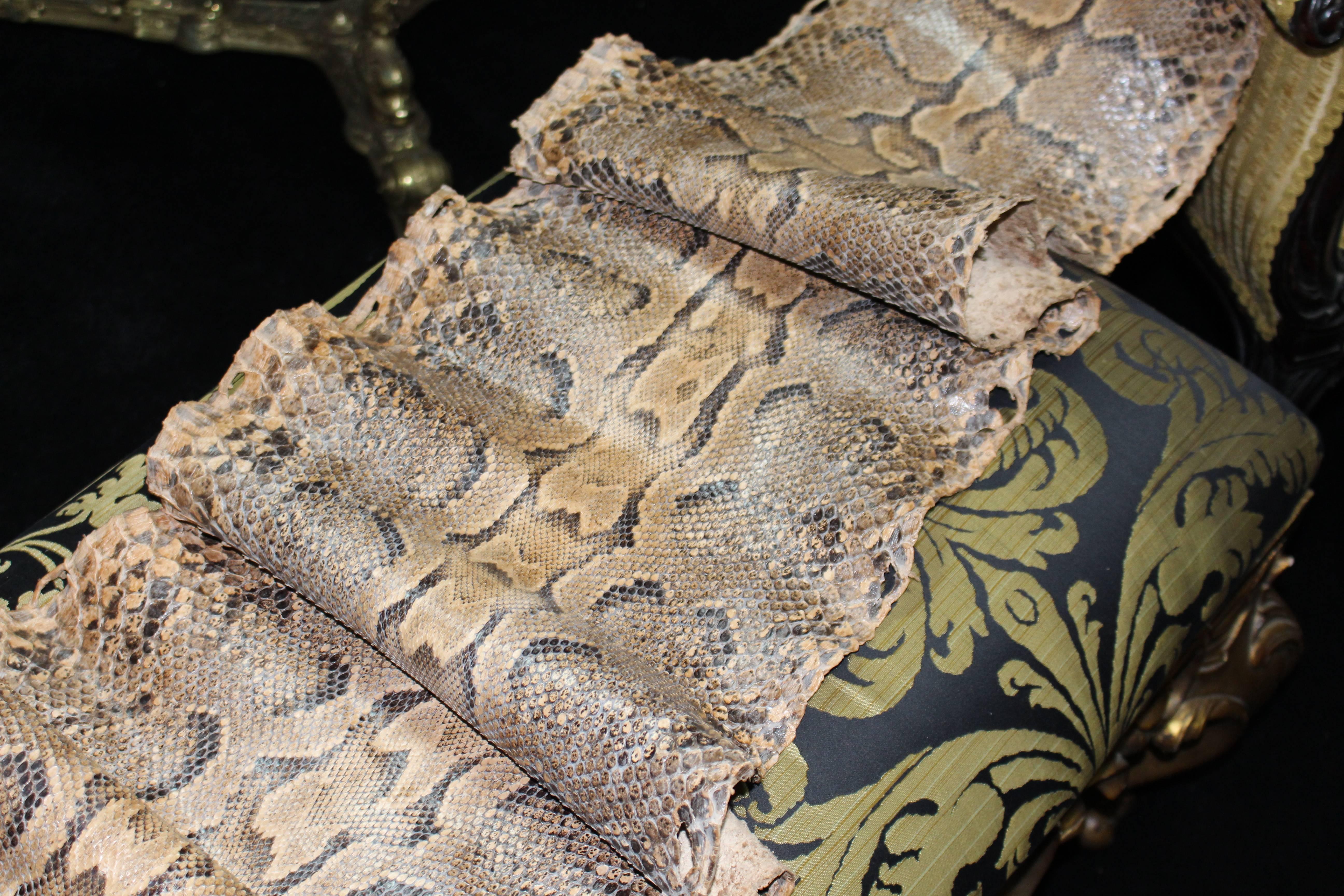 Antique Python Snake Skin 1
