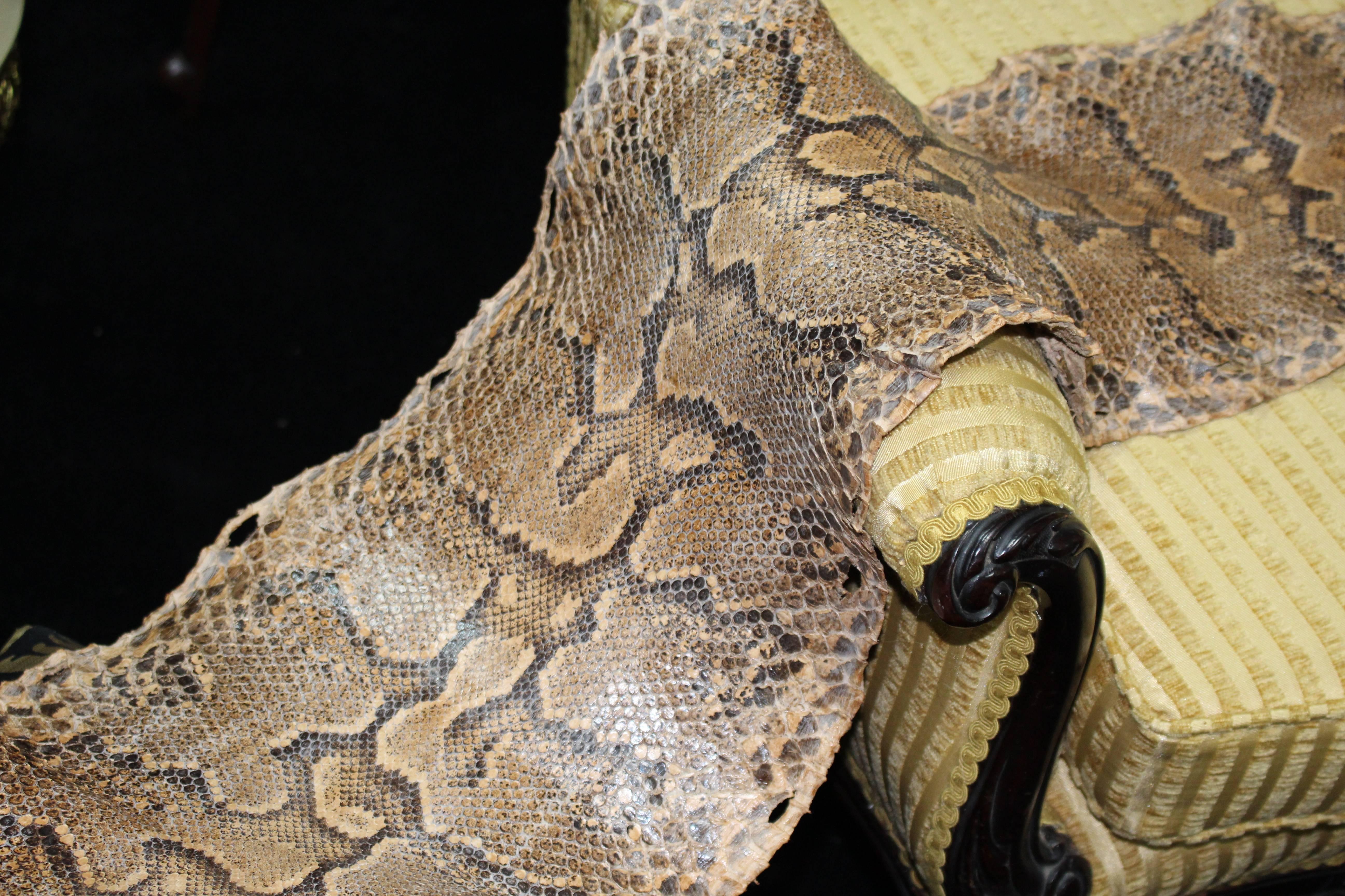 Antique Python Snake Skin In Excellent Condition In Worcester, Worcestershire