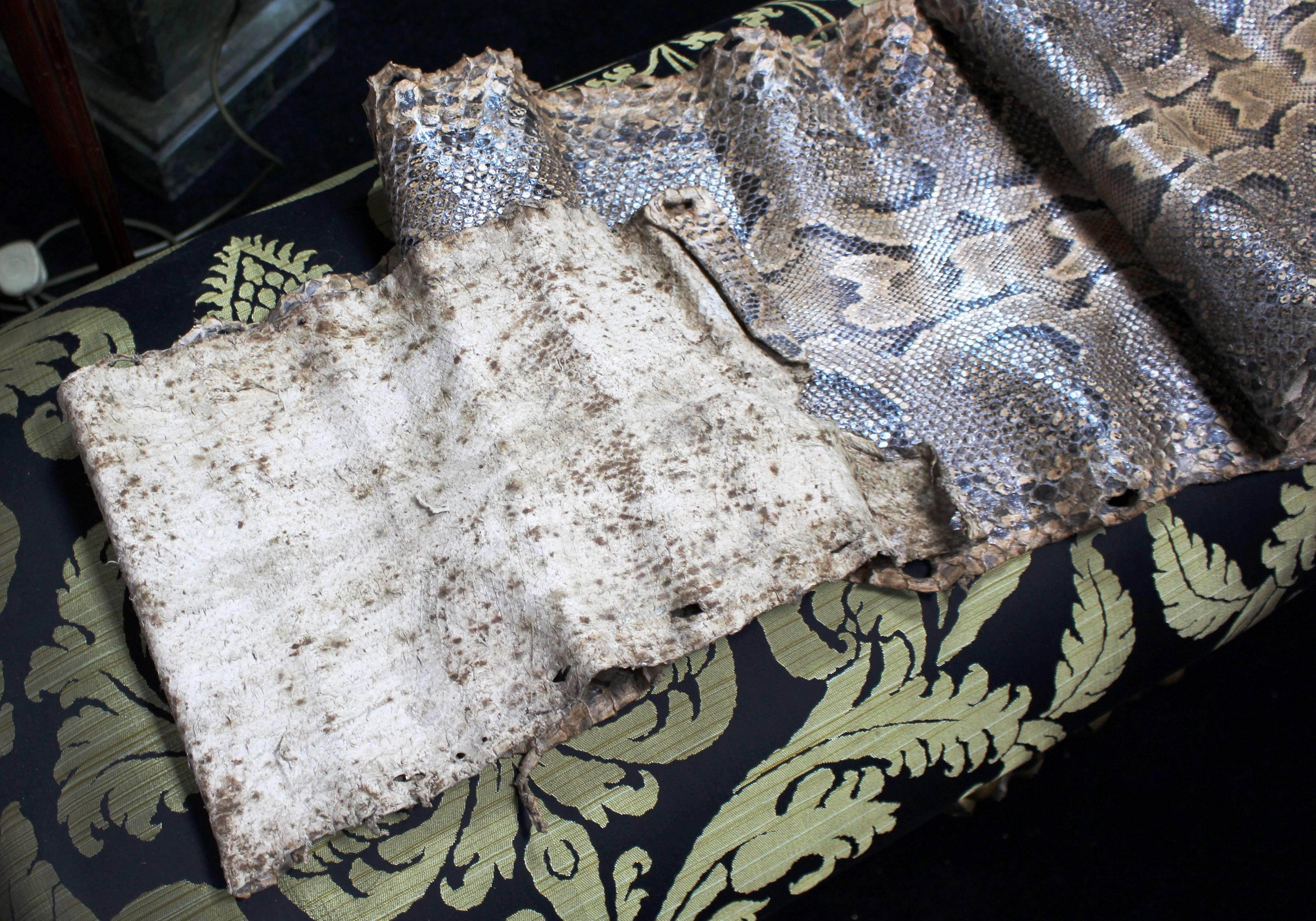 Antique Python Snake Skin 3
