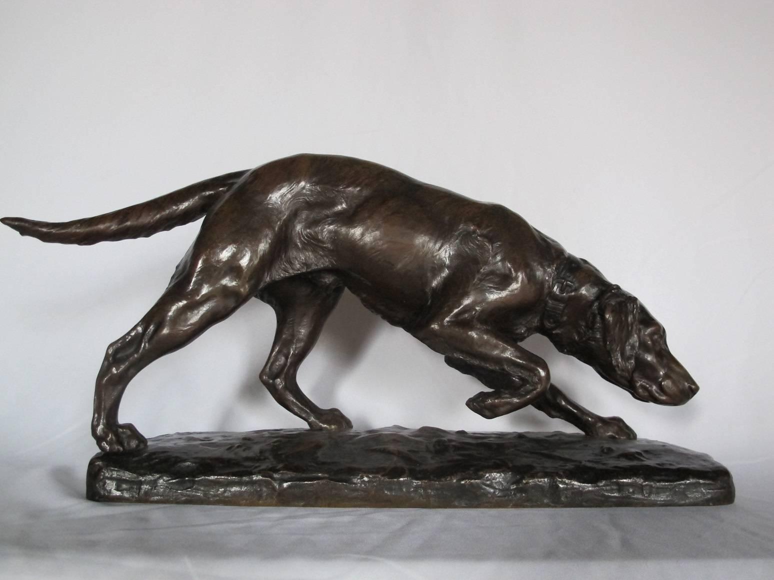A large bronze pointer dog. The base inscribed 'George Gardet' and with stamp 'Societes des Bronzes de Paris'. Warm brown patina.

Rare extra large size. 56 cm long. 