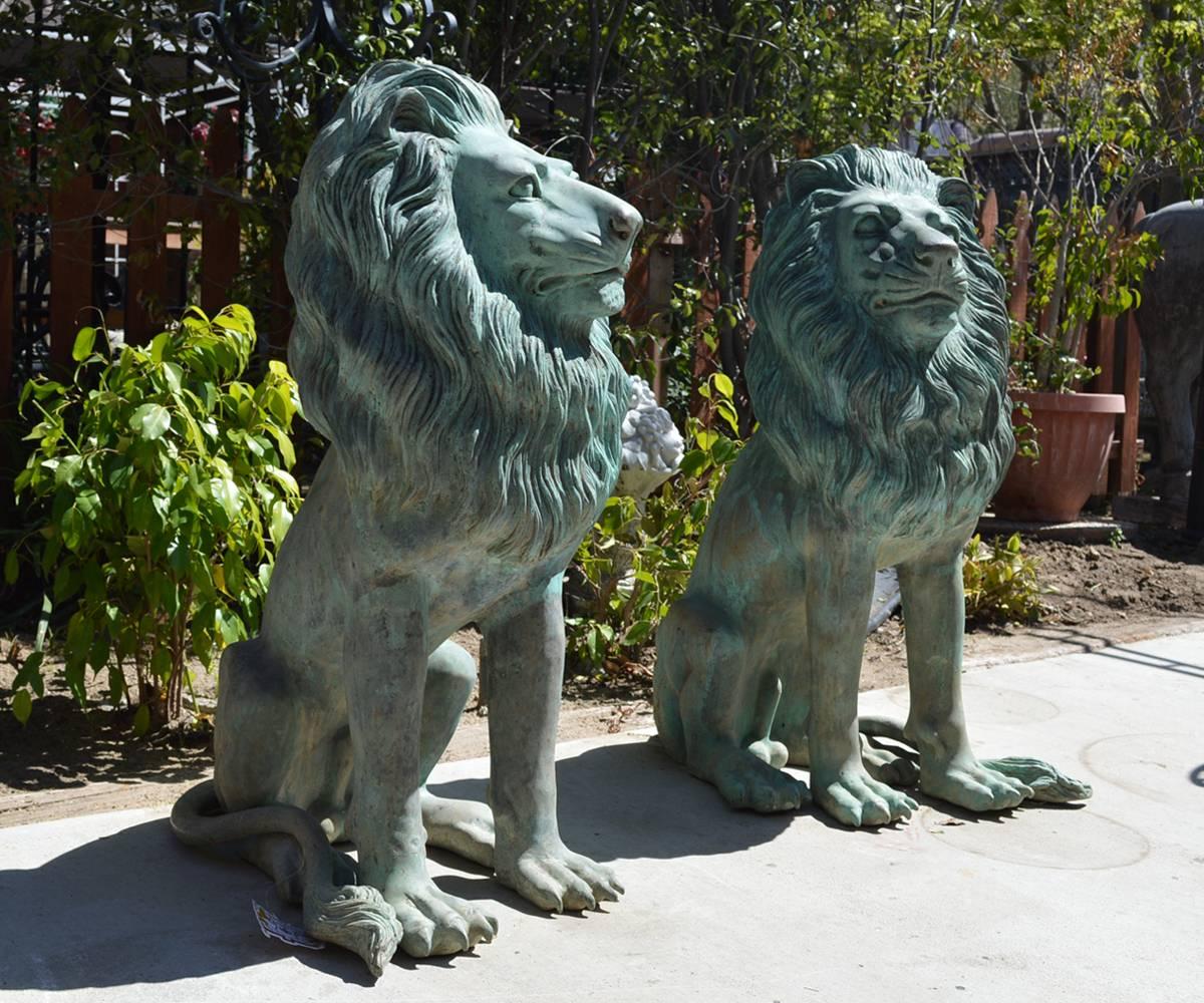 Magnificent pair of patinated bronze lions. These lions have a very majestic expression and are ready to grace any entrance.